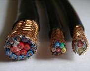 氟塑绝缘硅橡胶护套计算机电缆